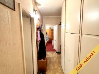 Eladó 53 m²-estársasházi lakás XI. Kerület (Albertfalva) , Sáfrány utca: 70'900'000 Ft