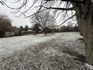 Kiadó 52 m²-estársasházi lakás XI. Kerület (Albertfalva) , Verbéna utca: 200'000 Ft