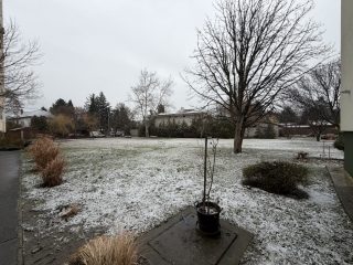 Kiadó 52 m²-estársasházi lakás XI. Kerület (Albertfalva) , Verbéna utca: 200'000 Ft