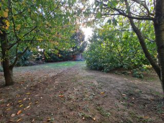 Eladó 105 m²-escsaládi ház XI. Kerület (Kamaraerdő) , Laska utca: 119'000'000 Ft