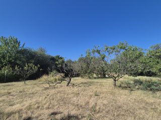 Eladó 3308 m²-estelek XI. Kerület (Kamaraerdő) , Laska utca: 45'000'000 Ft