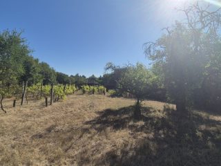 Eladó 3308 m²-estelek XI. Kerület (Kamaraerdő) , Laska utca: 45'000'000 Ft