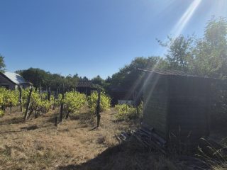 Eladó 3308 m²-estelek XI. Kerület (Kamaraerdő) , Laska utca: 45'000'000 Ft