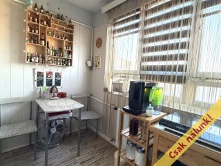 Eladó 48 m²-estársasházi lakás XI. Kerület (Kelenföld) , Allende park: 76'000'000 Ft