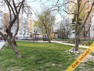 Eladó 48 m²-estársasházi lakás XI. Kerület (Kelenföld) , Allende park: 76'000'000 Ft