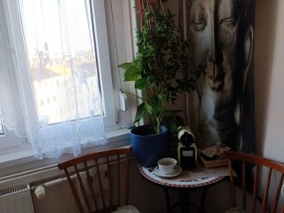 Eladó 50 m²-estársasházi lakás XI. Kerület (Kelenföld) , Bartók Béla út: 79'000'000 Ft