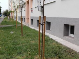 Kiadó 39 m²-estársasházi lakás XI. Kerület (Kelenföld) , Etele utca: 170'000 Ft