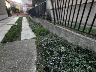 Eladó 57 m²-estársasházi lakás XI. Kerület (Kelenföld) , Hadak útja: 109'000'000 Ft