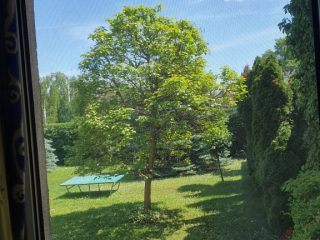 Eladó 65 m²-estársasházi lakás XI. Kerület (Kelenvölgy) , Kelenvölgy csendes utcája: 91'000'000 Ft