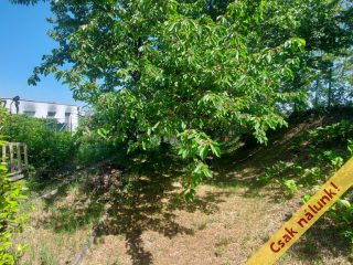 Eladó 34 m²-esikerház XI. Kerület (Kelenvölgy) , Kubikos utca: 69'900'000 Ft