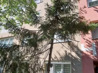 Kiadó 48 m²-estársasházi lakás XI. Kerület (Lágymányos) , Bikás park közeli utca: 250'000 Ft