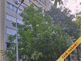 Eladó 51 m²-estársasházi lakás XI. Kerület (Őrmező) , Kérő utca: 65'000'000 Ft