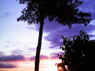 Eladó 58 m²-estársasházi lakás XI. Kerület (Sashegy) , Sashegy: 119'900'000 Ft