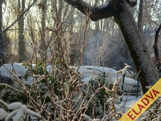 Eladó 52 m²-estársasházi lakás XIII. Kerület (Angyalföld) , Anygyalföld: 64'900'000 Ft