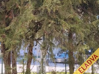 Eladó 52 m²-estársasházi lakás XIII. Kerület (Angyalföld) , Anygyalföld: 64'900'000 Ft