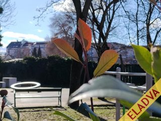 Eladó 52 m²-estársasházi lakás XIII. Kerület (Angyalföld) , Anygyalföld: 64'900'000 Ft