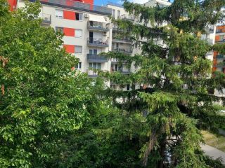 Eladó 35 m²-estársasházi lakás XIII. Kerület (Angyalföld) , Diós utca: 48'900'000 Ft