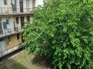 Eladó 35 m²-estársasházi lakás XIII. Kerület (Angyalföld) , Diós utca: 48'900'000 Ft