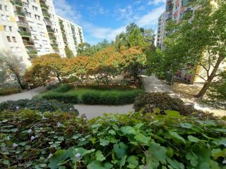 Eladó 68 m²-estársasházi lakás XIII. Kerület (Angyalföld – Országbíró utcai lakótelep) , Szegedi út: 75'900'000 Ft