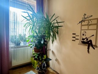 Eladó 73 m²-estársasházi lakás XIII. Kerület (Göncz Árpád városközpont) , Gönz Árpád Városközpont: 99'900'000 Ft