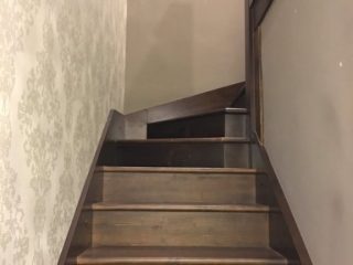 Kiadó 30 m²-estársasházi lakás XIII. Kerület (Újlipótváros) , Vígszínház utca: 170'000 Ft