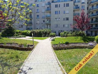 Eladó 51 m²-estársasházi lakás XIV. Kerület (Alsórákos) , Levendula lakópark: 84'990'000 Ft