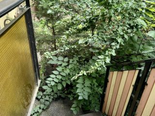 Eladó 53 m²-estársasházi lakás XIV. Kerület (Alsórákos) , Must utca: 66'000'000 Ft