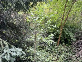 Eladó 53 m²-estársasházi lakás XIV. Kerület (Alsórákos) , Must utca: 66'000'000 Ft