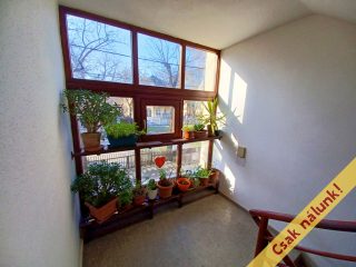 Eladó 54 m²-estársasházi lakás XIV. Kerület (Alsórákos) , Öv utcánál, Egressy út: 69'900'000 Ft