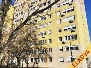 Eladó 46 m²-estársasházi lakás XIV. Kerület (Füredi lakótelep) , Felújított másfélszobás lakás a Füredin!: 62'900'000 Ft
