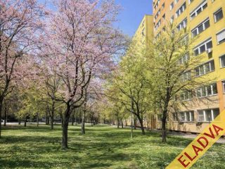 Eladó 46 m²-estársasházi lakás XIV. Kerület (Füredi lakótelep) , Másfélszobás lakás eladó a Füredin!: 59'900'000 Ft