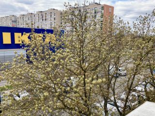 Kiadó 46 m²-estársasházi lakás XIV. Kerület (Füredi lakótelep) , Ond vezér útja: 210'000 Ft