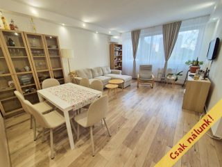Eladó 46 m²-estársasházi lakás XIV. Kerület (Füredi lakótelep) , Örs vezér tere közeli, Füredi utca: 63'000'000 Ft