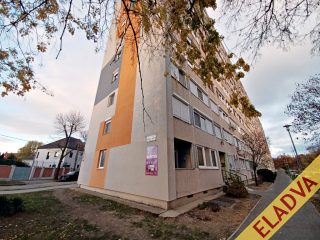 Eladó 50 m²-estársasházi lakás XIV. Kerület (Füredi lakótelep) , Park felőli lépcsőházban, Vezér utca: 64'900'000 Ft