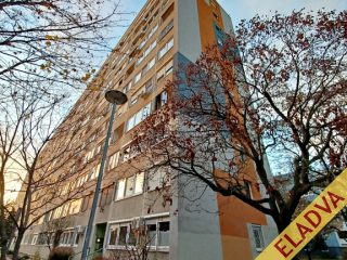 Eladó 50 m²-estársasházi lakás XIV. Kerület (Füredi lakótelep) , Park felőli lépcsőházban, Vezér utca: 64'900'000 Ft