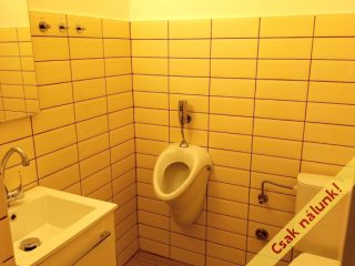 Eladó 89 m²-esegyéb iroda XIV. Kerület (Herminamező) , Amerikai út: 79'500'000 Ft