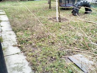 Eladó 49 m²-estársasházi lakás XIV. Kerület (Herminamező) , Herminamező: 65'700'000 Ft