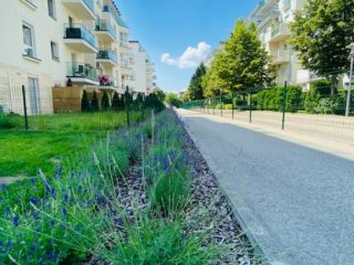 Eladó 94 m²-estársasházi lakás XIV. Kerület (Herminamező) , Levendula lakóparkban: 159'700'000 Ft