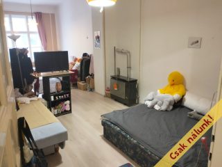 Eladó 45 m²-estársasházi lakás XIV. Kerület (Kiszugló) , Angol utca: 54'900'000 Ft