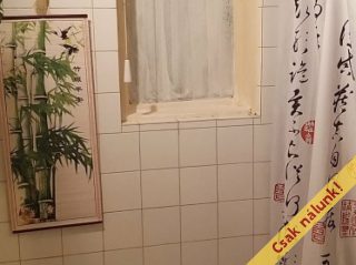 Eladó 45 m²-estársasházi lakás XIV. Kerület (Kiszugló) , Angol utca: 54'900'000 Ft