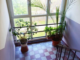 Kiadó 47 m²-estársasházi lakás XIV. Kerület (Nagyzugló) , Angol utca: 220'000 Ft