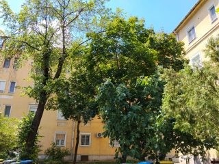 Eladó 53 m²-estársasházi lakás XIV. Kerület (Nagyzugló) , Nagy Lajos király útja: 64'999'000 Ft