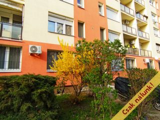 Eladó 56 m²-estársasházi lakás XIV. Kerület (Törökőr) , Dongó utca: 76'900'000 Ft