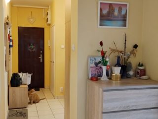 Eladó 75 m²-estársasházi lakás XIV. Kerület (Törökőr) , Törökőr: 85'900'000 Ft