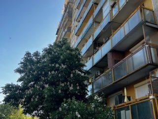 Eladó 53 m²-estársasházi lakás XIX. Kerület (Kispest) , Csokonai utca: 63'900'000 Ft