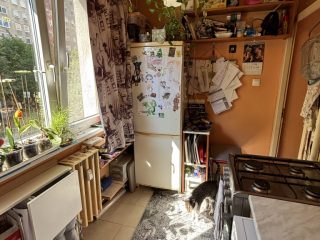 Eladó 53 m²-estársasházi lakás XIX. Kerület (Kispest) , Eötvös utca: 57'900'000 Ft