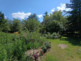 Eladó 387 m²-esikerház XIX. Kerület (Kispest) , Templom tér közelében: 289'000'000 Ft