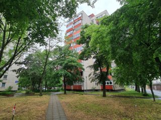Kiadó 37 m²-estársasházi lakás XIX. Kerület (Lakótelep) , Dobó Katica utca: 170'000 Ft