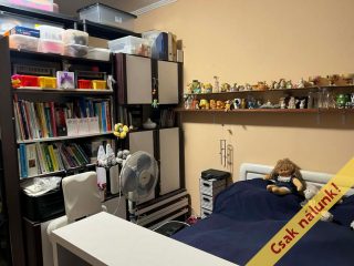 Eladó 270 m²-escsaládi ház XIX. Kerület (Óváros) , Óváros utca: 260'000'000 Ft