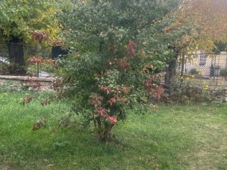 Eladó 565 m²-estelek XV. Kerület (Rákospalota) , Pázmány Péter utca: 44'500'000 Ft